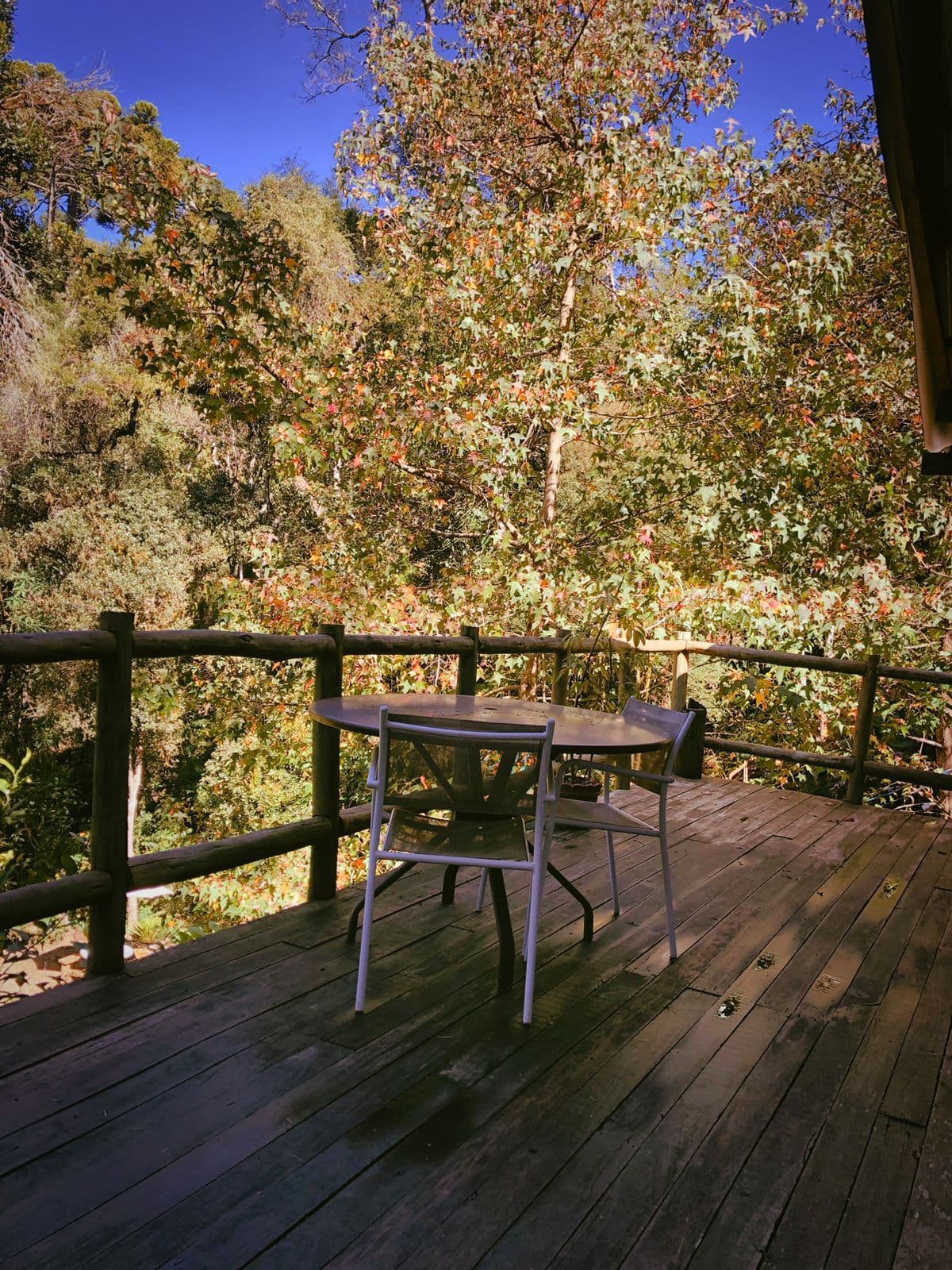 Middle House - Photo 4